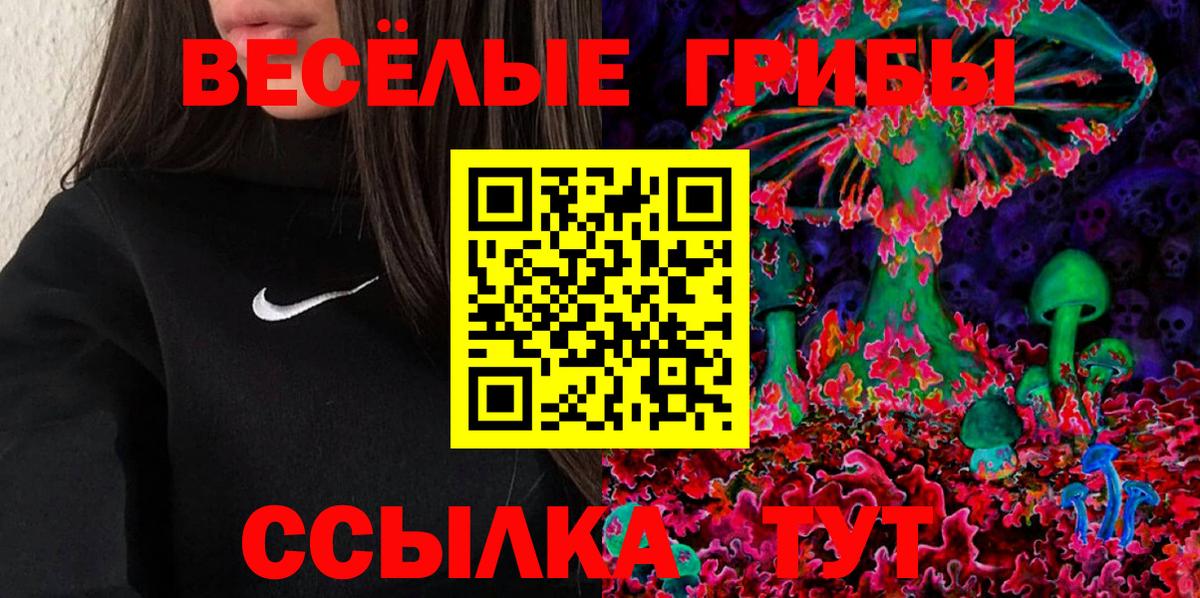 Ртищево  Псилоцибиновые грибы Psilocybe  цена   Вход с VPN  Псилоцибиновые грибы мухоморы 