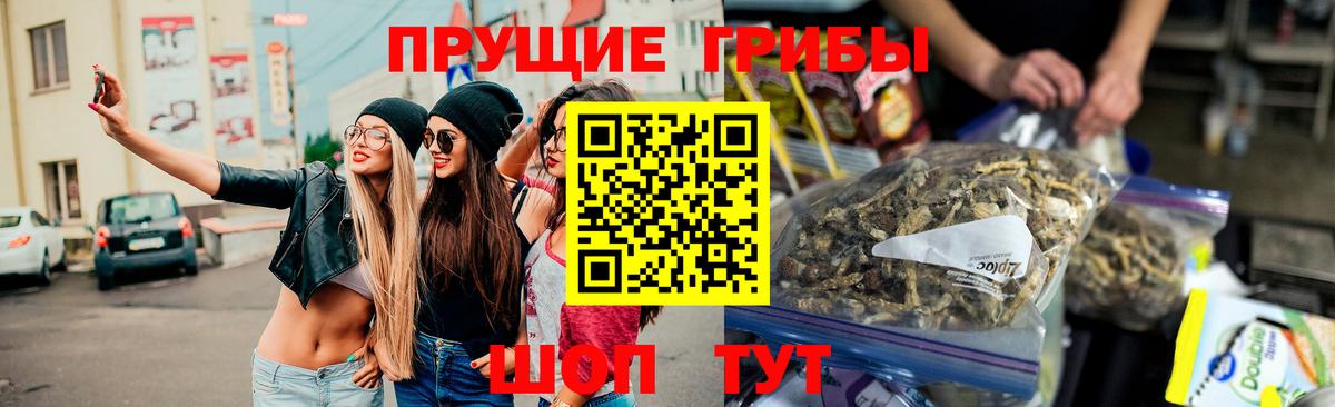 Галлюциногенные грибы MAGIC MUSHROOMS Ртищево